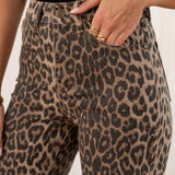 Jean Barbara - léopard